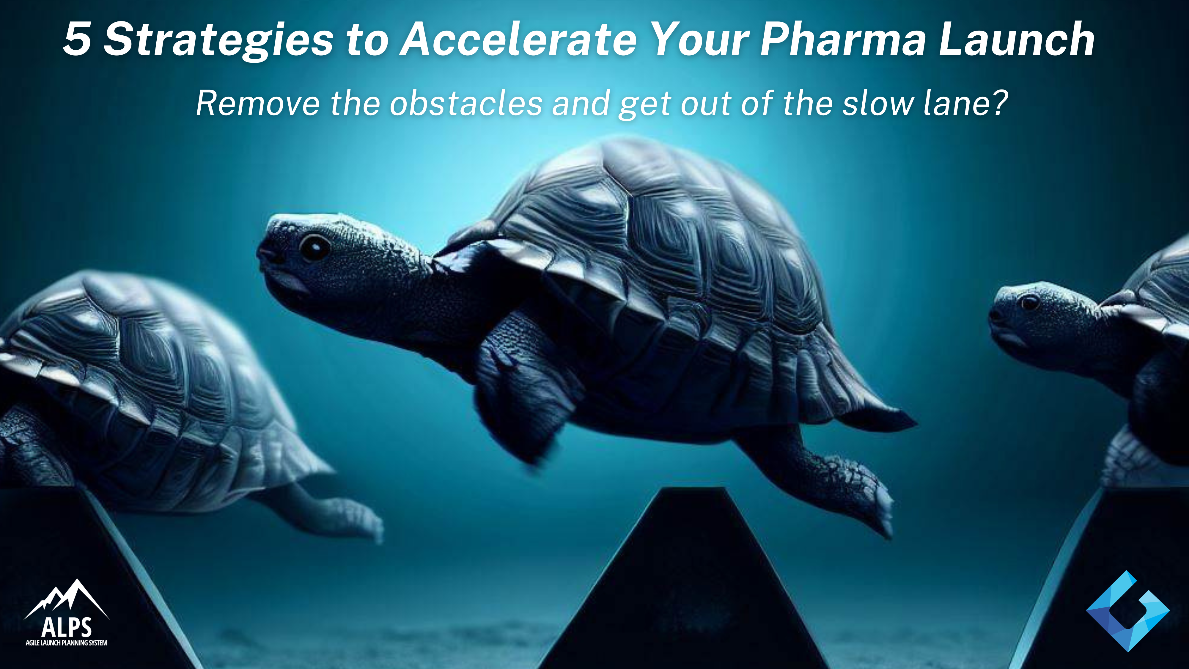 5 Strategies to Accelerate Your Pharma Launch