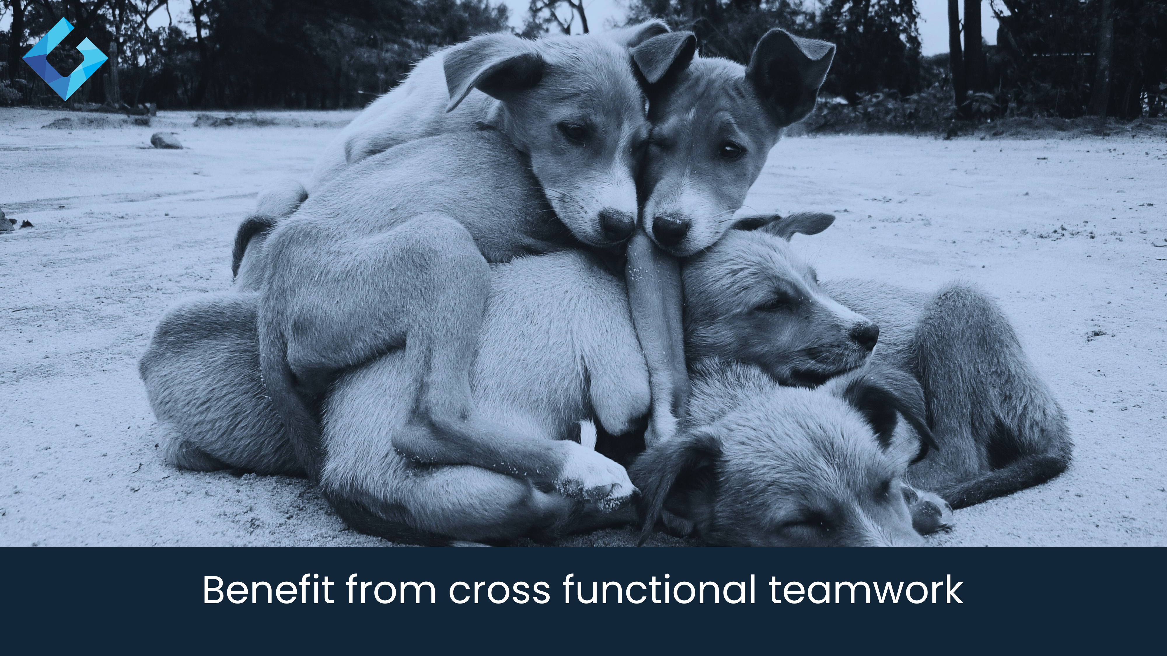 Sprints and huddles are great for action and morale